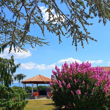 Holiday Apartment Villa Bianca พาซิน ภายนอก รูปภาพ