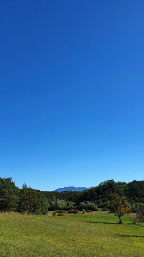 Holiday Apartment Villa Bianca พาซิน ภายนอก รูปภาพ